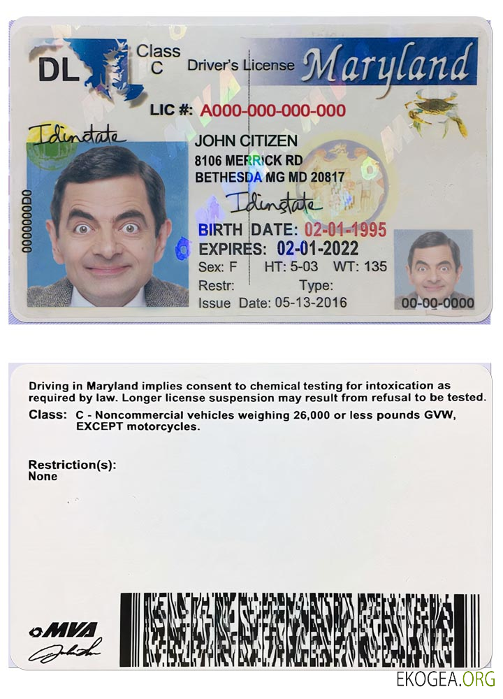 USA MARYLAND DL 2003 2016